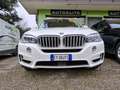BMW X5 Xdrive 40d Experience Full Tetto Pano Blanc - thumbnail 3
