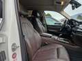 BMW X5 Xdrive 40d Experience Full Tetto Pano Blanc - thumbnail 10