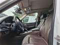 BMW X5 Xdrive 40d Experience Full Tetto Pano Blanc - thumbnail 9