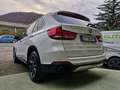 BMW X5 Xdrive 40d Experience Full Tetto Pano Blanc - thumbnail 8