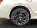 Skoda Octavia Combi RS 1.4 iV LED LM 18" Navi PDC vo+h Weiß - thumbnail 15