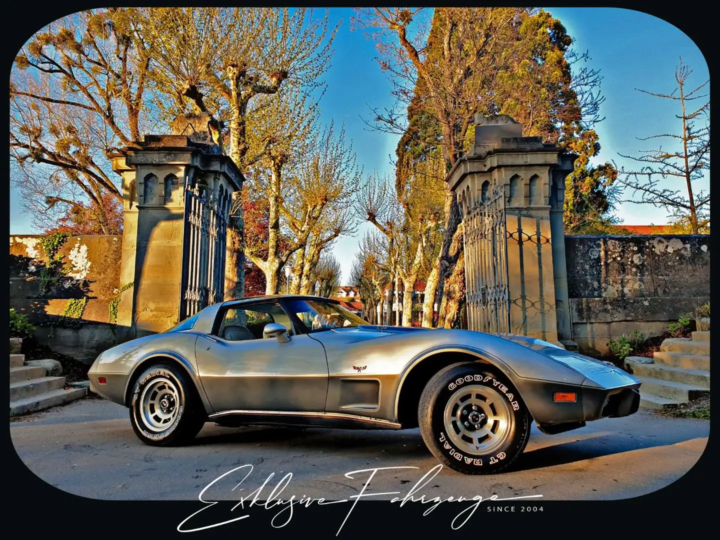 Corvette C3 |78´ Corvette Anniversary Silver Edition|220PS Silber - 2