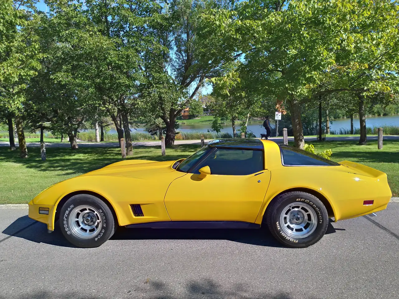1981 Chevrolet Corvette