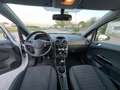 Opel Corsa Opel corsa anno 2013 1.2 benzina gpl Bianco - thumbnail 11