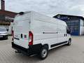 Fiat Ducato KASTENWAGEN 35 L3H2 140AT Blanc - thumbnail 4
