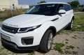 Land Rover Range Rover Evoque TD4 Pure - thumbnail 9