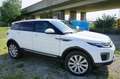 Land Rover Range Rover Evoque TD4 Pure - thumbnail 6
