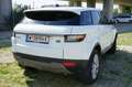 Land Rover Range Rover Evoque TD4 Pure - thumbnail 11