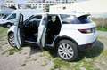 Land Rover Range Rover Evoque TD4 Pure - thumbnail 7