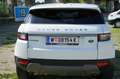 Land Rover Range Rover Evoque TD4 Pure - thumbnail 10