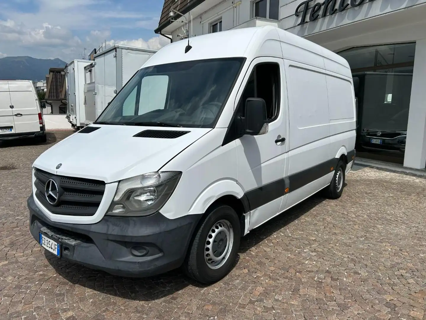 Mercedes-Benz Sprinter F37/35 313 CDI PM TM Furgone Pro Bianco - 2