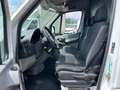Mercedes-Benz Sprinter F37/35 313 CDI PM TM Furgone Pro Bianco - thumbnail 6