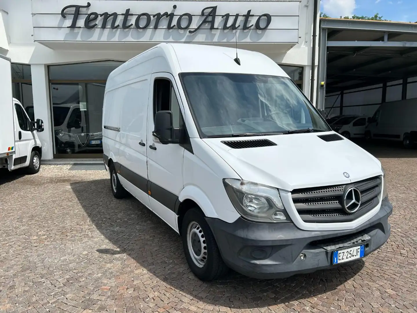 Mercedes-Benz Sprinter F37/35 313 CDI PM TM Furgone Pro Bianco - 1