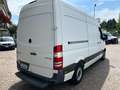 Mercedes-Benz Sprinter F37/35 313 CDI PM TM Furgone Pro Bianco - thumbnail 4
