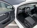 Volkswagen Passat Sport BlueMotion Weiß - thumbnail 9