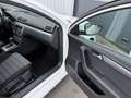 Volkswagen Passat Sport BlueMotion Weiß - thumbnail 13