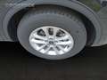 Ford Kuga Titanium FHEV +ACC+BLIS Schwarz - thumbnail 7