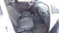 Ford Puma Titanium *SHZ*GRA*beh. Scheibe&Lenkrad*LED Blanc - thumbnail 10