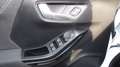 Ford Puma Titanium *SHZ*GRA*beh. Scheibe&Lenkrad*LED Blanc - thumbnail 14