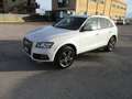 Audi Q5 2.0 tdi Advanced Plus quattro 177cv-tronic Blanc - thumbnail 1