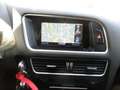 Audi Q5 2.0 tdi Advanced Plus quattro 177cv-tronic Blanc - thumbnail 14