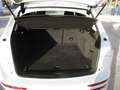 Audi Q5 2.0 tdi Advanced Plus quattro 177cv-tronic Blanc - thumbnail 7