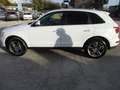 Audi Q5 2.0 tdi Advanced Plus quattro 177cv-tronic Blanc - thumbnail 4