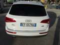 Audi Q5 2.0 tdi Advanced Plus quattro 177cv-tronic Blanc - thumbnail 6