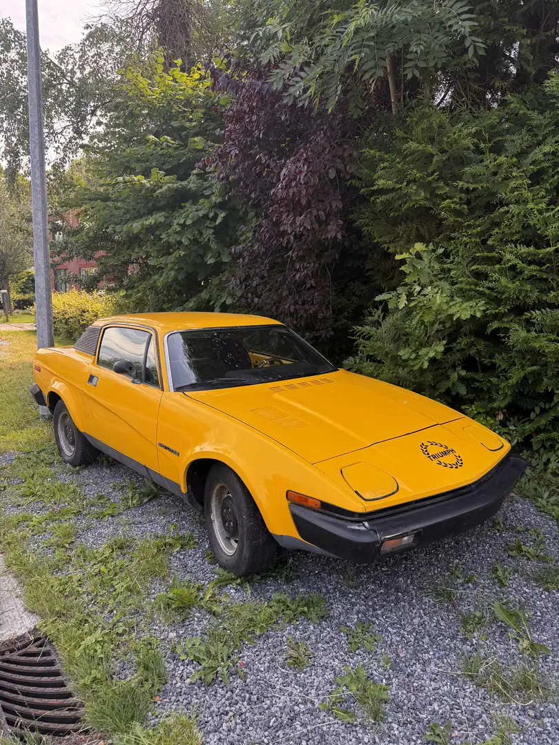 Triumph TR7 Gelb - 2