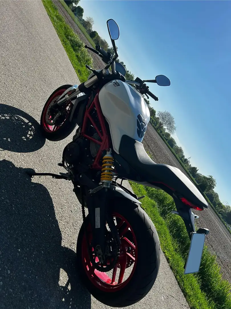 Ducati Monster 797 Weiß - 1