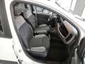 Fiat Panda Panda 0.9 t.air t. natural power City Life Bianco - thumbnail 9