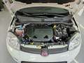 Fiat Panda Panda 0.9 t.air t. natural power City Life Bianco - thumbnail 13