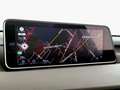 Lexus RX 450h 450h 3.5 Executive 263cv cvt Синій - thumbnail 18
