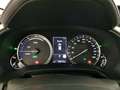Lexus RX 450h 450h 3.5 Executive 263cv cvt Синій - thumbnail 14