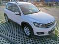 Volkswagen Tiguan Tiguan 2.0TDI BMT T1 4x2 110 T1 Blanco - thumbnail 3
