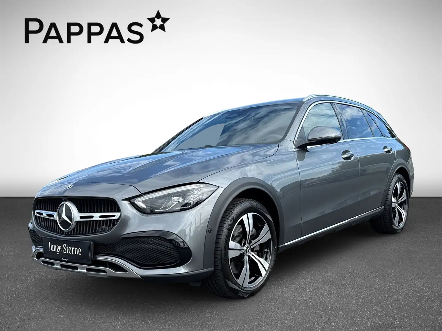 Mercedes-Benz C 220 d 4MATIC T-Modell All-Terrain PTS Navi Cam Grijs - 2