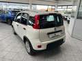 Fiat Panda 1.0 FireFly S&S Hybrid - TUTTO VERO SOLO 4600KM Gris - thumbnail 6