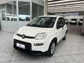 Fiat Panda 1.0 FireFly S&S Hybrid - TUTTO VERO SOLO 4600KM Gris - thumbnail 3