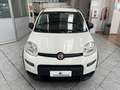 Fiat Panda 1.0 FireFly S&S Hybrid - TUTTO VERO SOLO 4600KM Gris - thumbnail 2