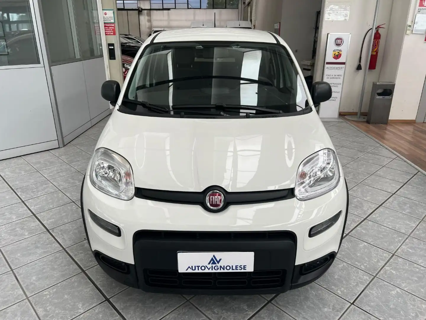 Fiat Panda 1.0 FireFly S&S Hybrid - TUTTO VERO SOLO 4600KM Gris - 2
