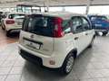 Fiat Panda 1.0 FireFly S&S Hybrid - TUTTO VERO SOLO 4600KM Gris - thumbnail 4