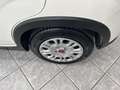 Fiat Panda 1.0 FireFly S&S Hybrid - TUTTO VERO SOLO 4600KM Gris - thumbnail 13