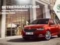 Skoda Fabia Ambition Weiß - thumbnail 14
