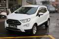 Ford EcoSport 1.0 EcoBoost 100 CV Titanium CLIMA AUTO SENSORI RE Blanc - thumbnail 1