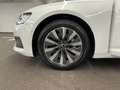 Audi A6 50 TFSI e qu.S tr. AHK MATRIX 360°K NAVI HUD Weiß - thumbnail 13