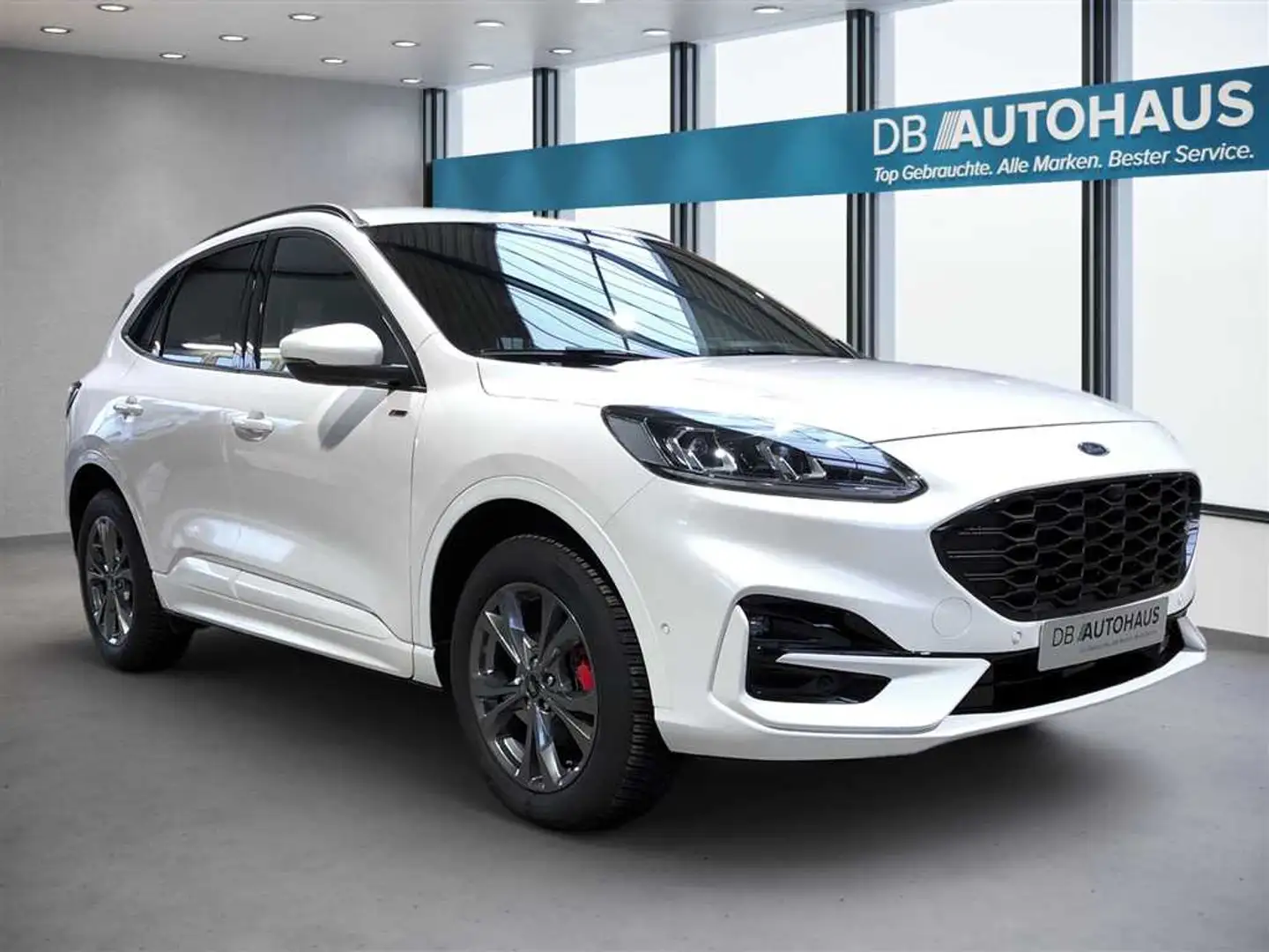 Ford Kuga ST-Line 2.5 DuraTec PHEV Autom Weiß - 2