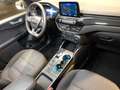 Ford Kuga ST-Line 2.5 DuraTec PHEV Autom Weiß - thumbnail 18