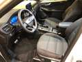 Ford Kuga ST-Line 2.5 DuraTec PHEV Autom Weiß - thumbnail 8