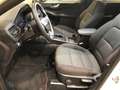 Ford Kuga ST-Line 2.5 DuraTec PHEV Autom Weiß - thumbnail 16