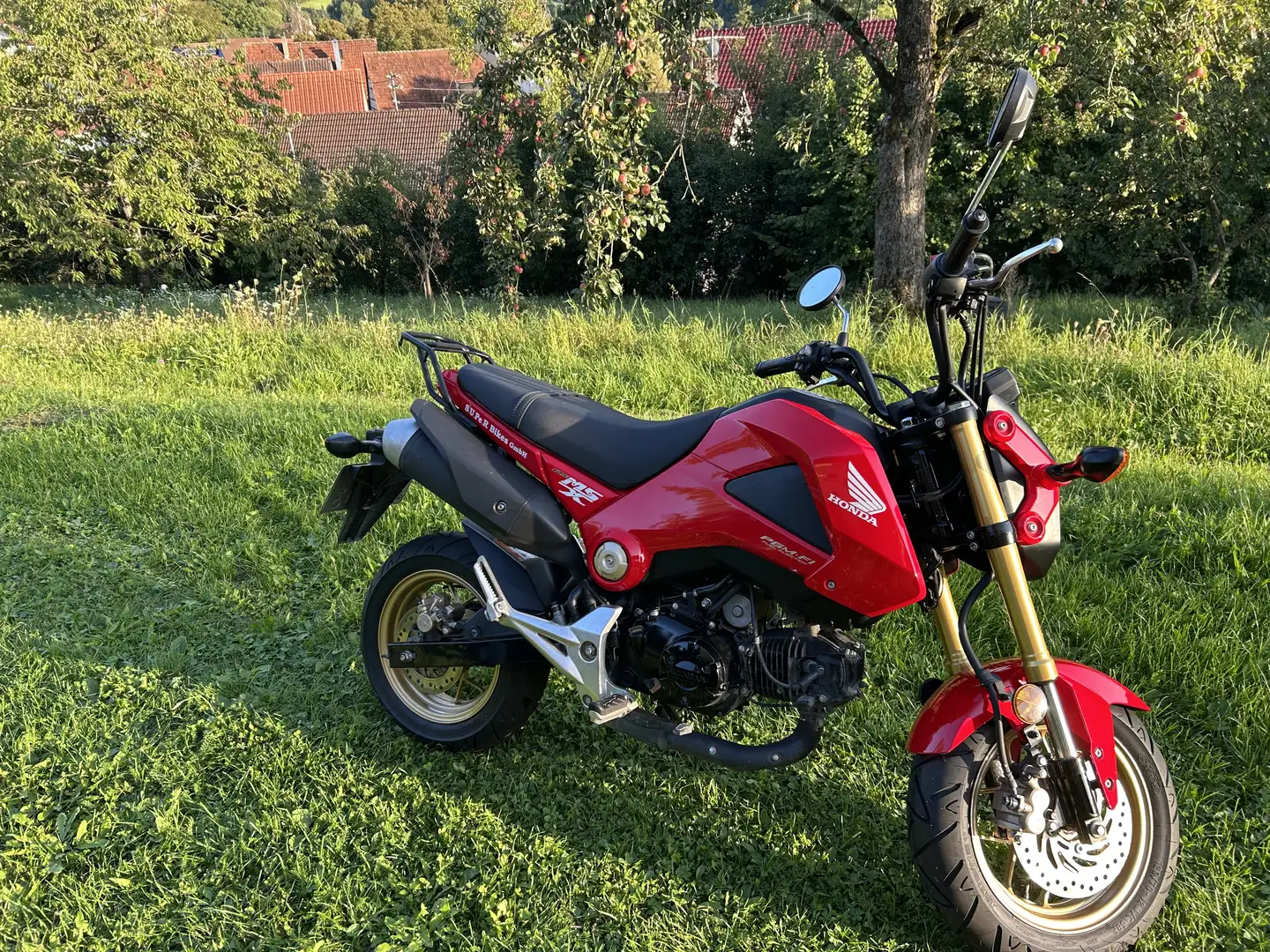 Honda MSX 125 - 2